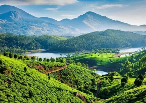 陕西在全国率先成立省级天然资源领域生态；ぷ菹蜃酆吓獬セ