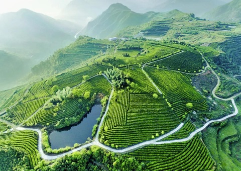 年度投资约15亿元 成都都市圈今年沉点推动9个生态环保项目