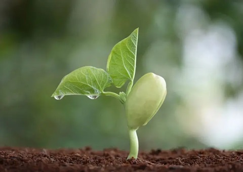 四川省当局批复赞成各市（州）征地地上附着物和青苗赔偿尺度