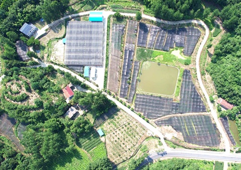 湖北省地皮承包经营权纳入不动产统一登记获得新功效——实现全省“停旧发新”