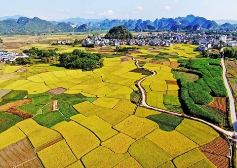 强化“指挥棒”作用&nbsp;&nbsp;柳州市发放500万元耕地；ぁ凹だ彀