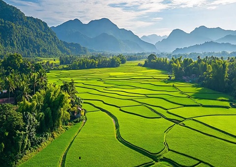 “天然资源+税务”协同共治！崇左筑牢耕地；び胨笆铡八老摺