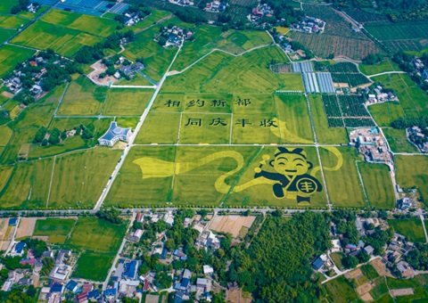 成都颁布耕地；す婊〗10年这样筑牢“天府粮仓”根基