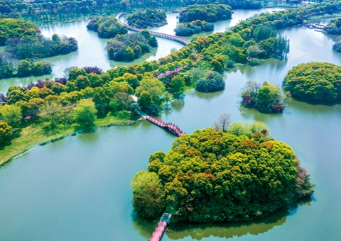 江西省湿地；ぢ室汛61.99%