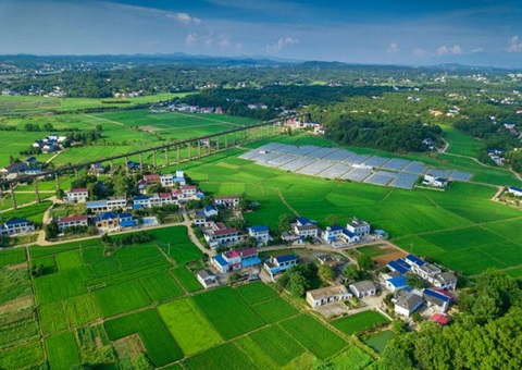 湖南：靶向发力盘活存量地皮资产<br>为206家机关企事业单元定造措置规划，盘活地皮2.6万亩