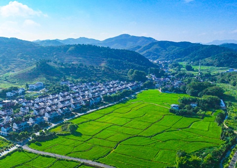 安徽推动构建城乡统一建设用地市场&nbsp;&nbsp;身分保险多点发力“激活”村落振兴