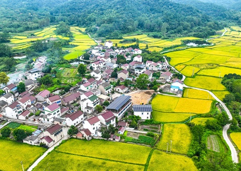 安徽省天然资源厅：130个乡镇耕地；こ删屯蛊 获赔偿激励1.3亿元