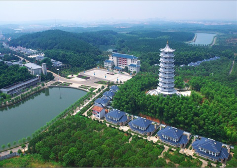 湖北：用好“一张图” ，智治有支持