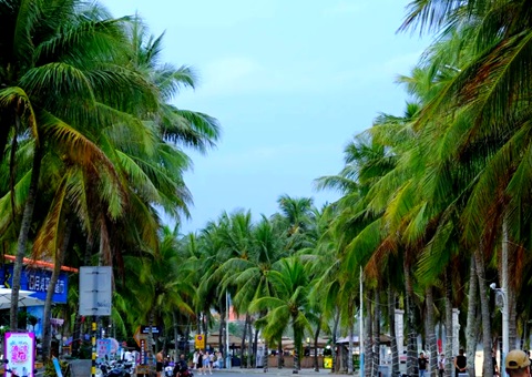 建“清冷城视妆，海南有何“凉方”?