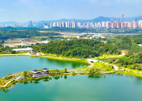 广东深刻推动全域地皮综合整治 今年46个执行规划已获省级批复