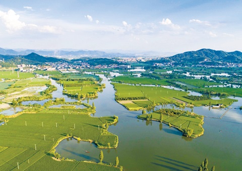 浙江率先完玉成国首个国度公园资产查究试点和全省域建设用地使用权情况查究。