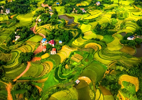 @农夫伴侣 2025年沉庆市耕地地力；げ怪婊戳