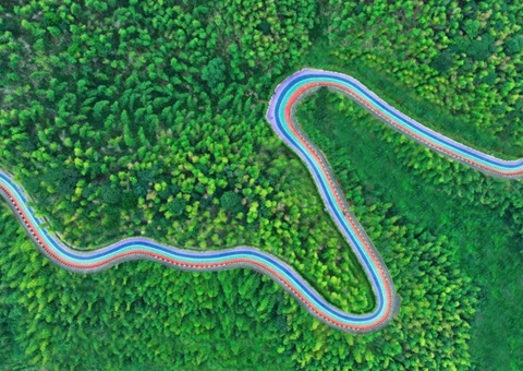 组合供给出新招，竹海收益节节高——桃江县“桃花江竹海”天然资源资产组合供给推动生态产品价值实现案例