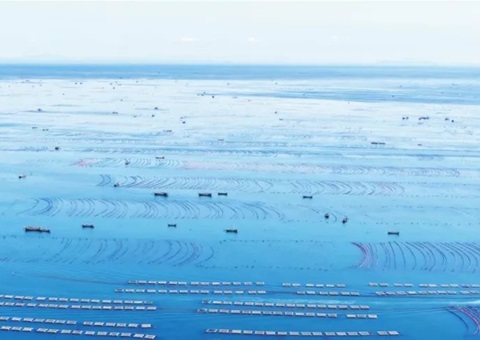 辽宁全面查究海洋资源资产实物量、价值量、使用权——摸清海洋“家底儿”