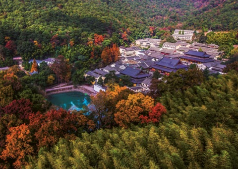 浙江：丛林公园生态游览若何高质量发展？